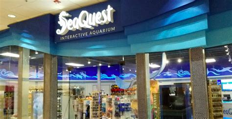 Seaquest layton - SeaQuest Layton is located at 1201 N. Hill Field Road #1072, Layton, Utah 84041. Availability. Valid for one (1) day of admission to SeaQuest Layton through June 1, 2024. Please check the attraction’s direct website for the most up-to-date operating schedule. Refund Policy. This ...